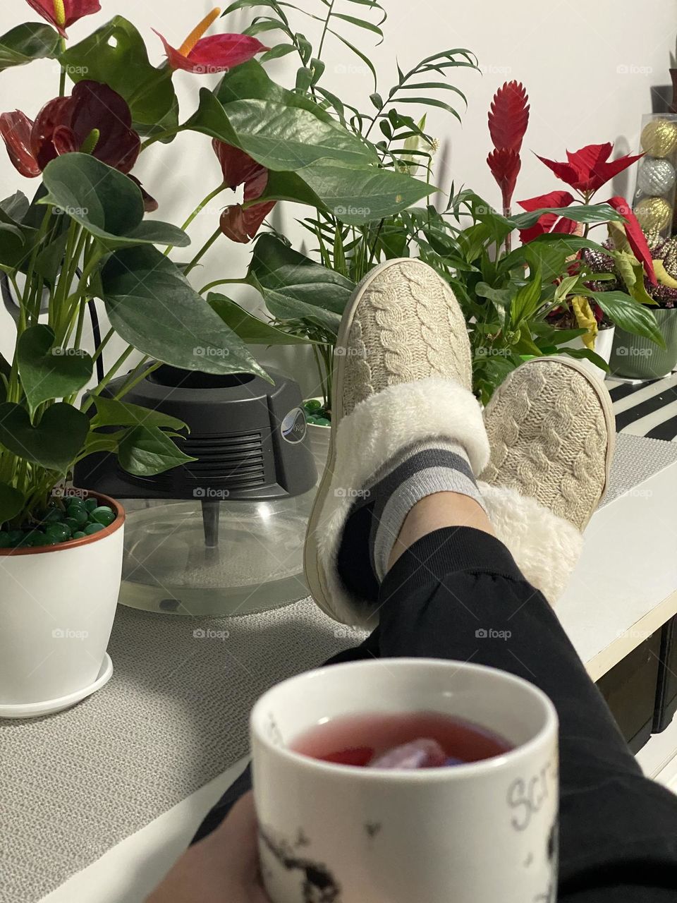 Drinking tea at home 