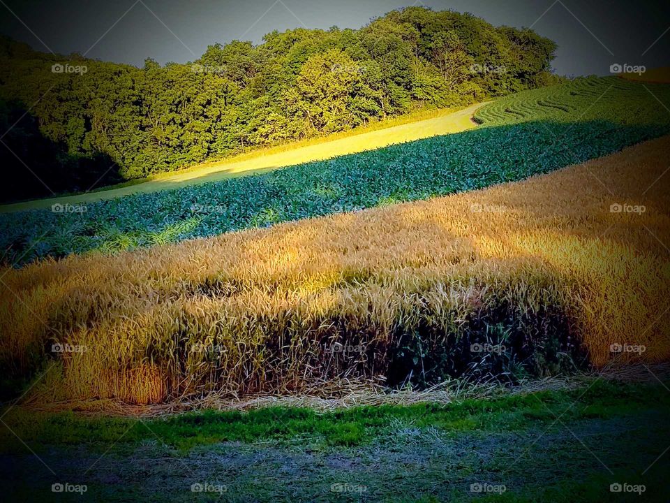 Driving the Back Roads and enjoying everything around us