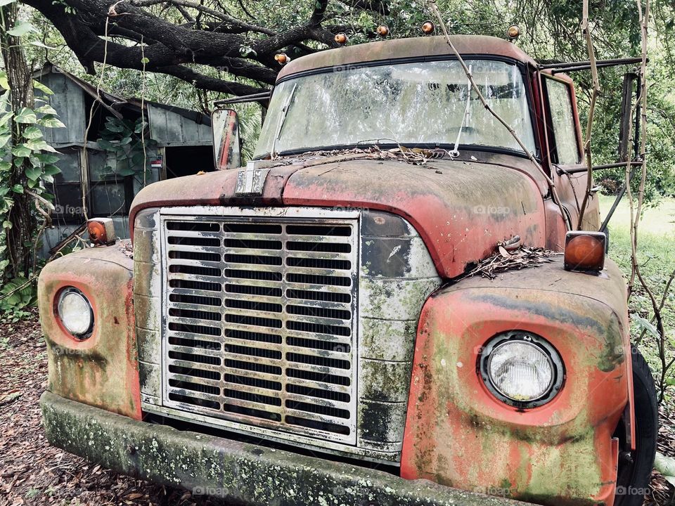 Old abandoned truck left in the woods