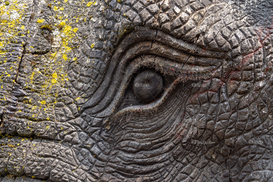Elephant eye sculpture