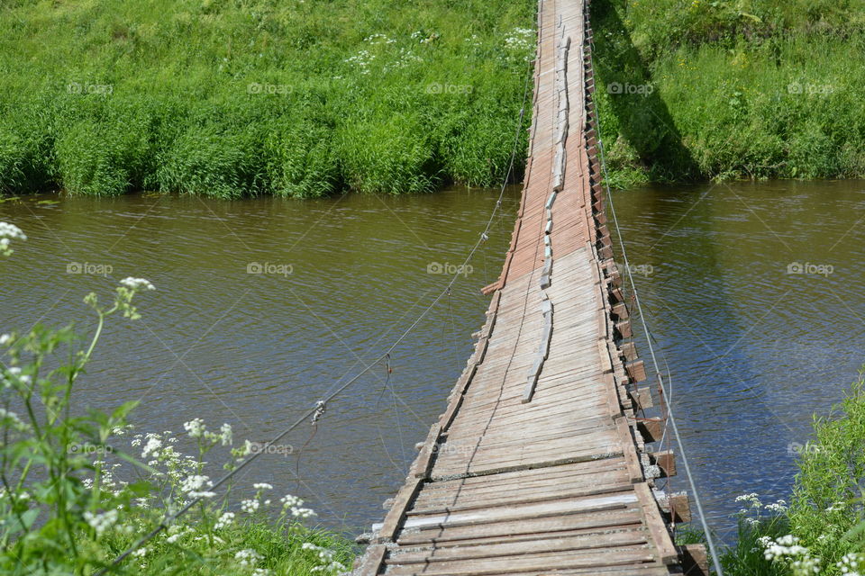 Water, Nature, Wood, River, Summer