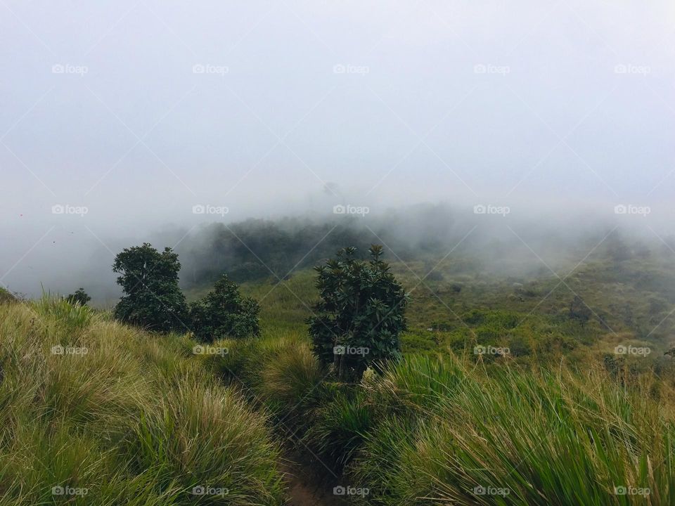 Mist in top of mountains