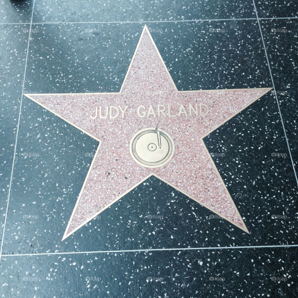 Judy Star. Hollywood, California 