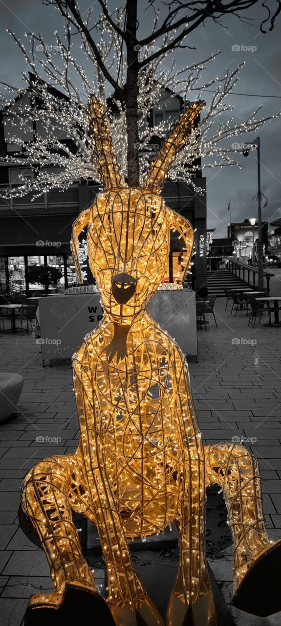 de struytse hoeck, Holland