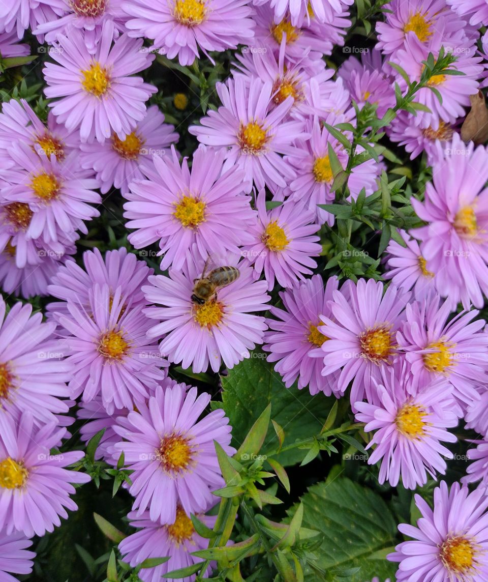 What makes you smile