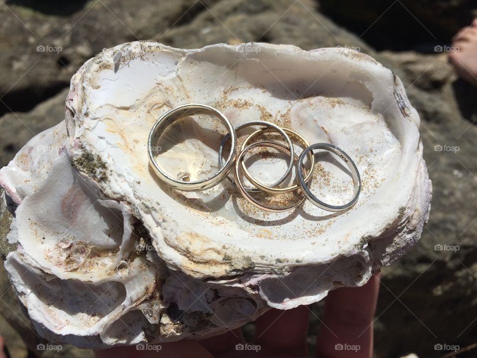 Rings in shell
