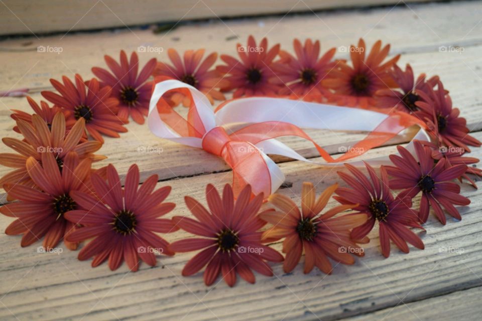 Flower Crown - Orange Daisy