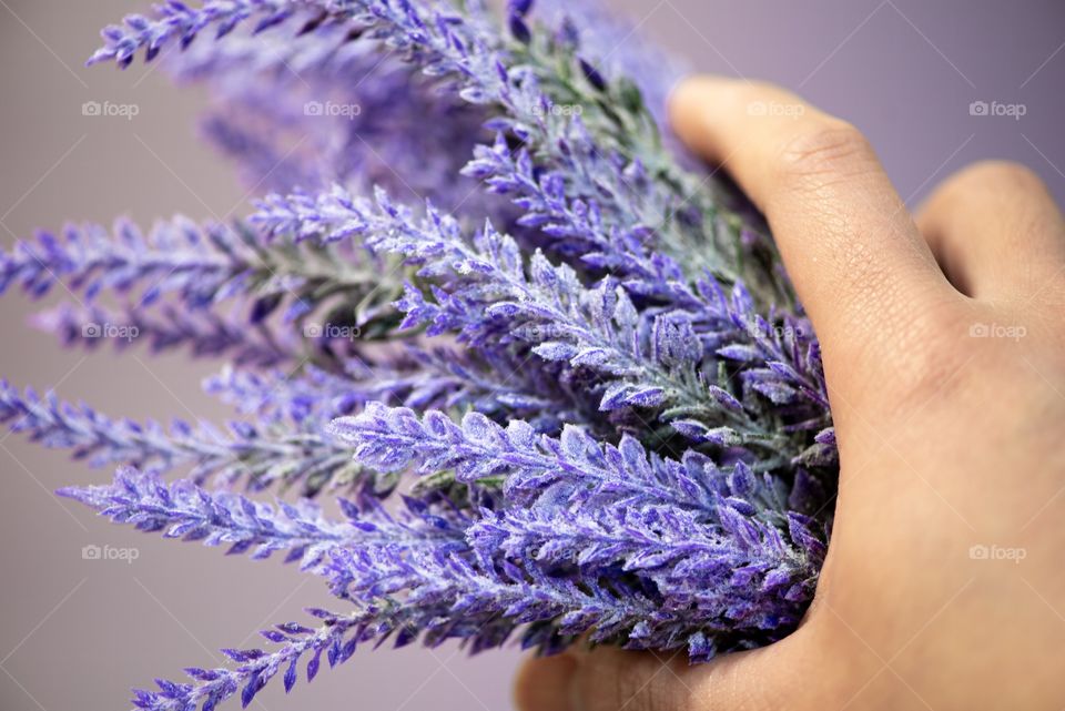 A handful of lavander