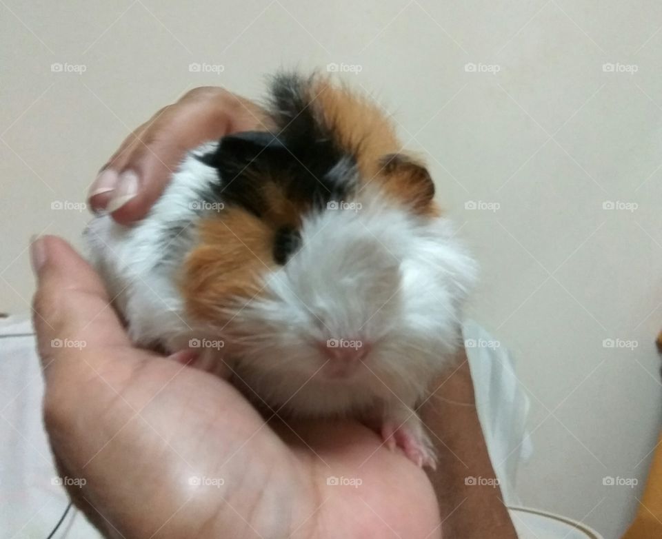 Quality time with my pet