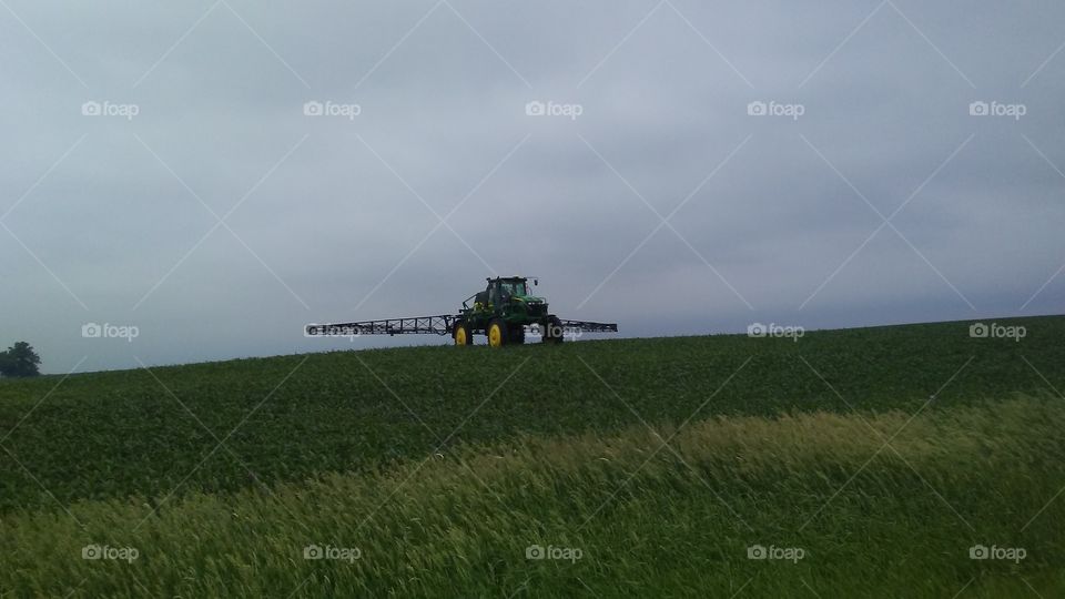 Agriculture, Landscape, Cropland, No Person, Farm