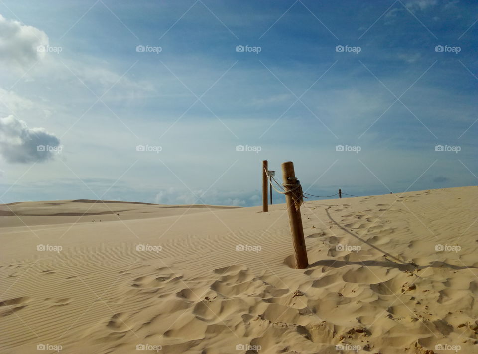 Sand, Beach, Desert, Dune, Seashore