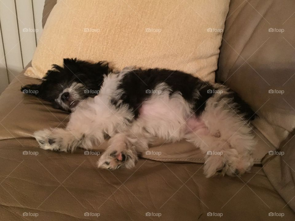 Do I have to wake up?