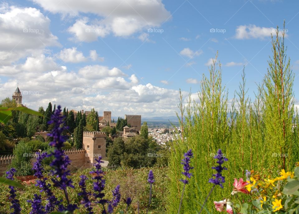 The amazing Alhambra