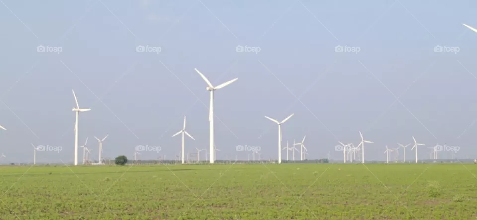 windmills