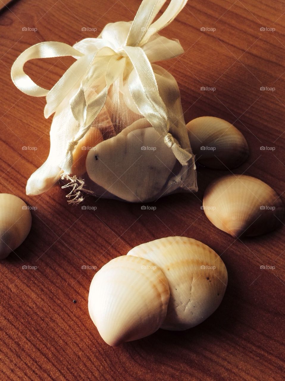 Bag of shells