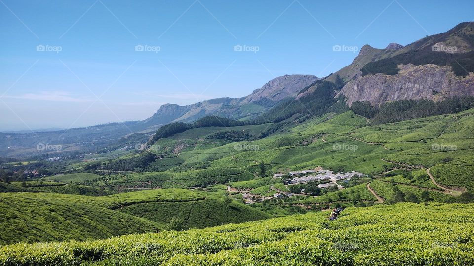 "Nature is pleased with simplicity." 