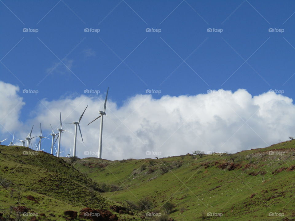 Maui Windmills