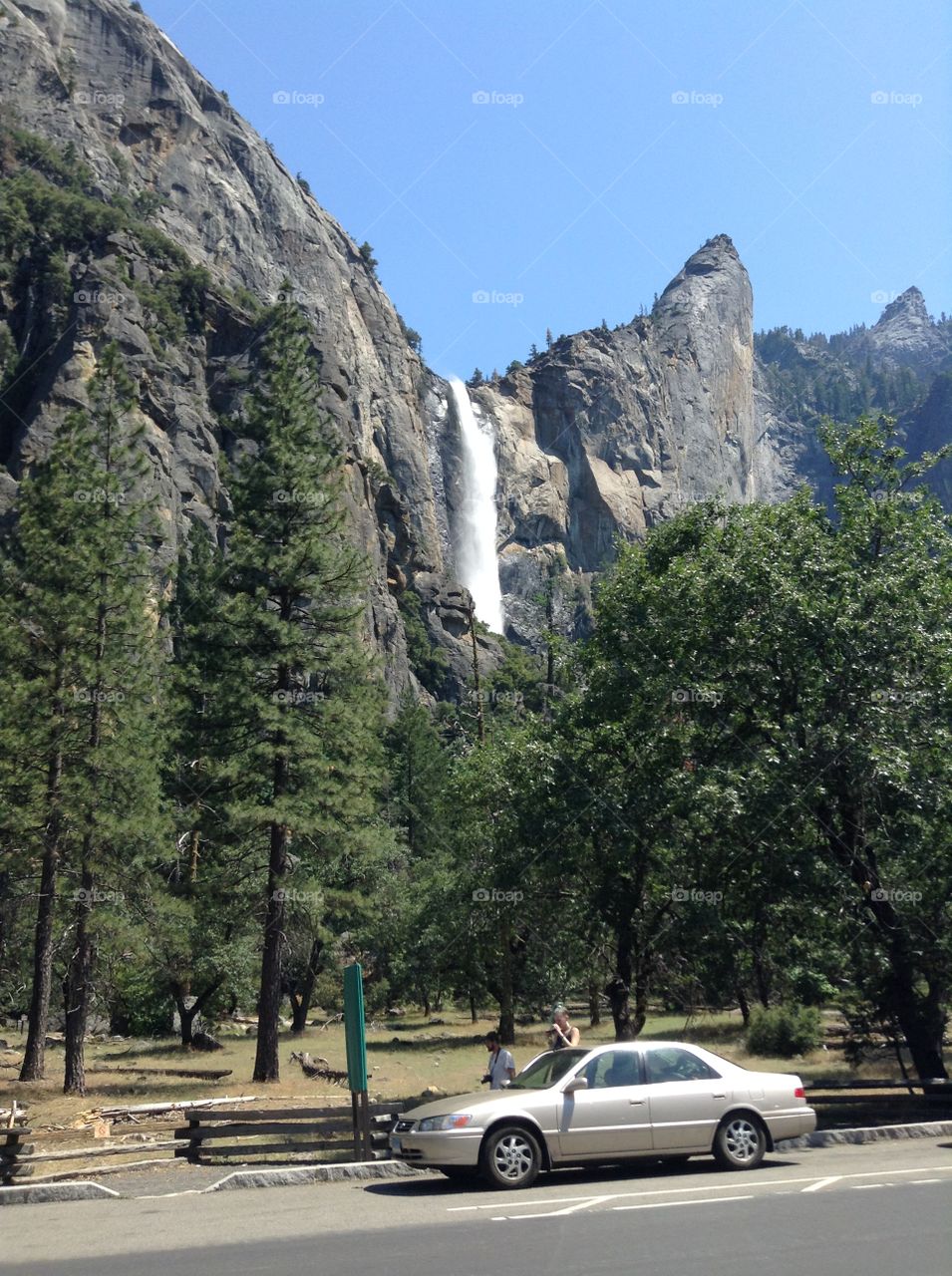 A sunny summer day at the Yosemite 