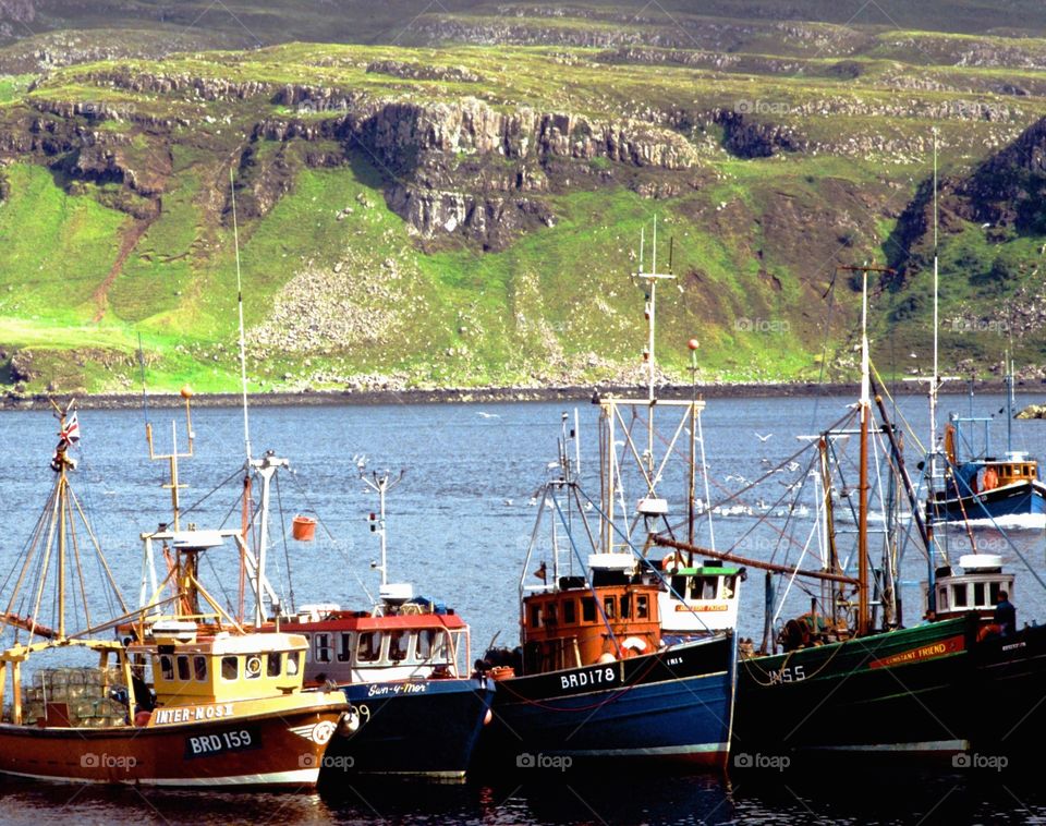 Harbour. Boats