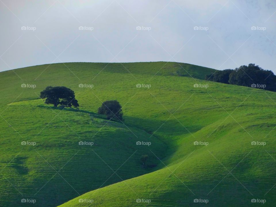 Green Hills Of Northern California
