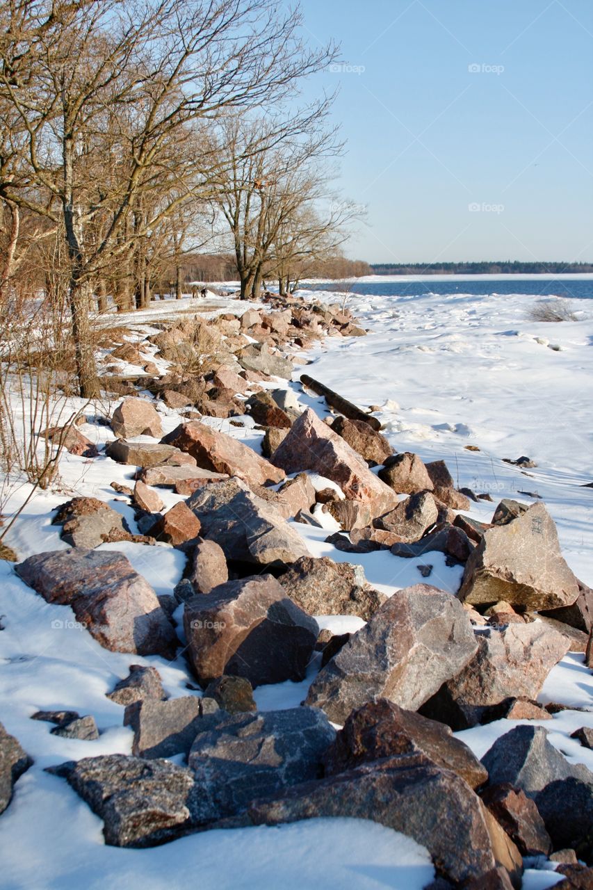 Winter landscape 