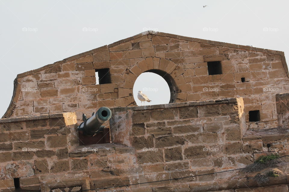 Fortress in essouria by the ocean 