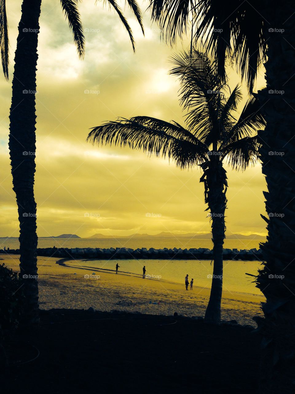 Beach silhouette