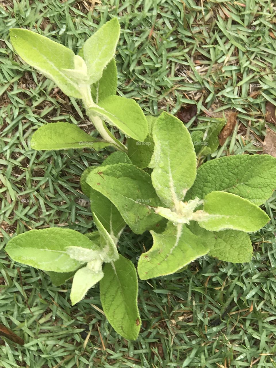 Some snaps near the highways condômino