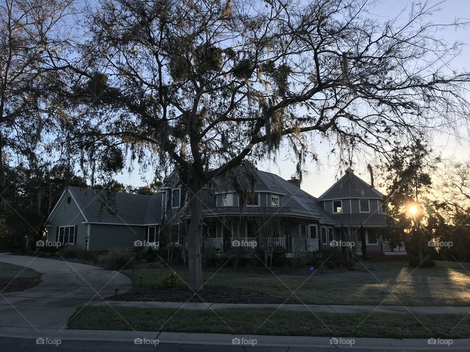 Huge Victorian House