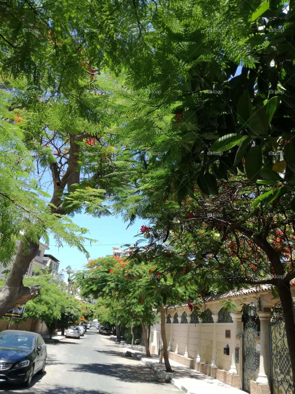 Green enterance 🍃