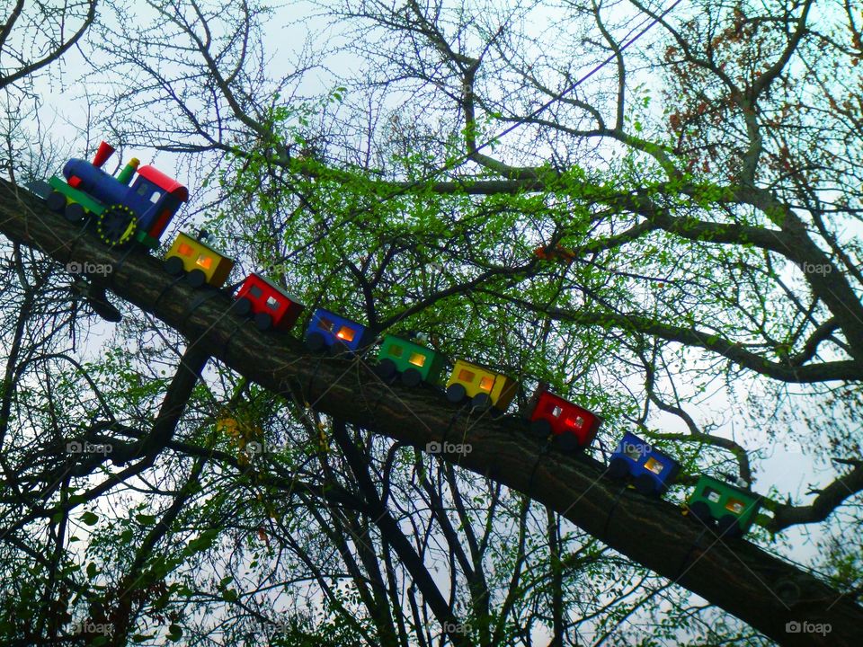 "Tree train".....