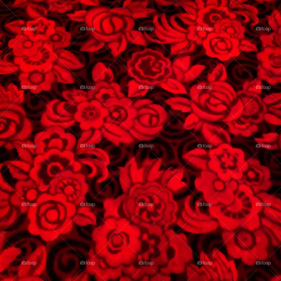 Red roses carpet in Paris,dramatic red and black background ,photography by Lika Ramati art 