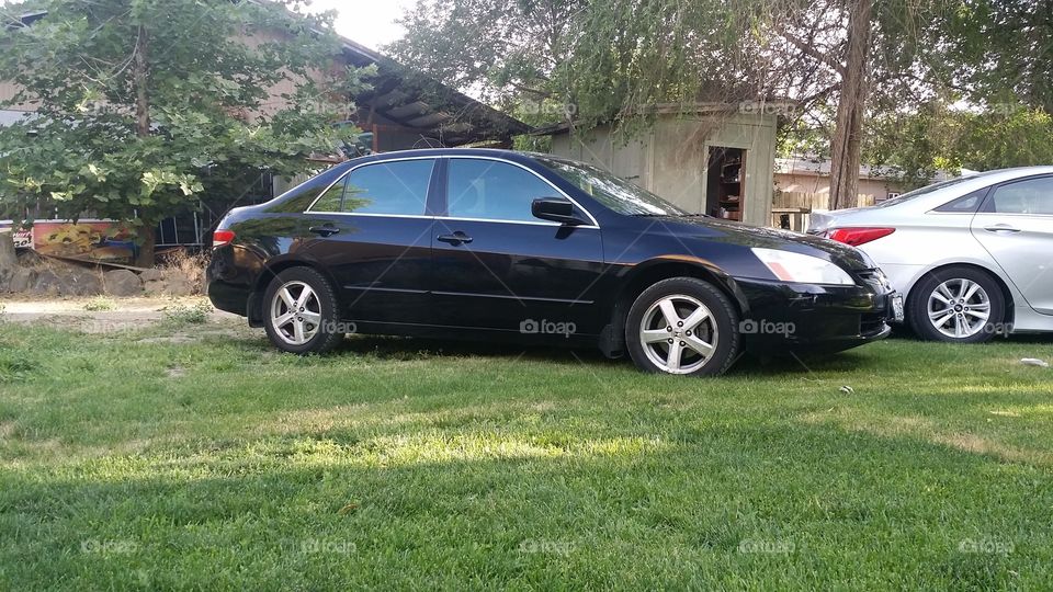 2003 Honda Accord. clean picture with natural background