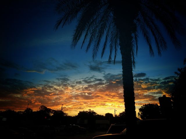 beautiful morning