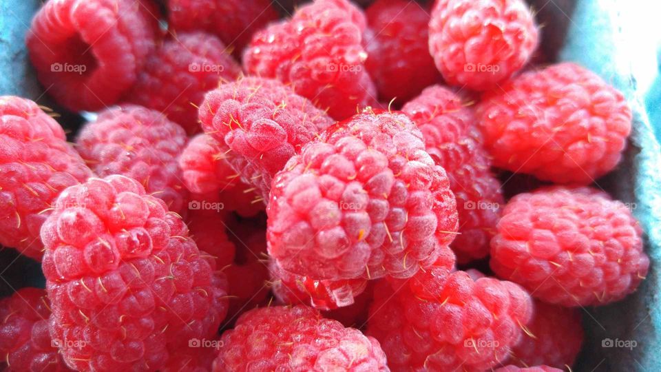 Close-up of raspberry