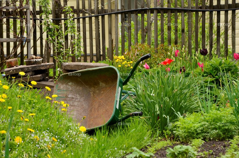 Garden wheelbarrow