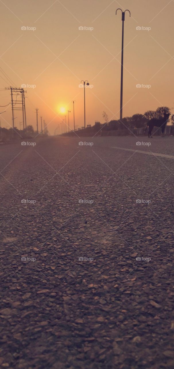 In morning, when the sun was about to rise there I clicked a picture of an empty road with yellowish sky❤️