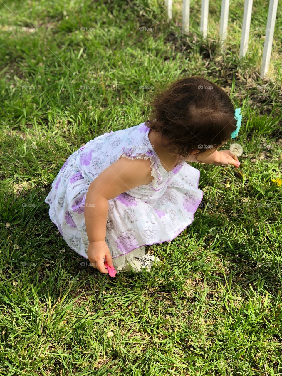 Little girl picking dandelion