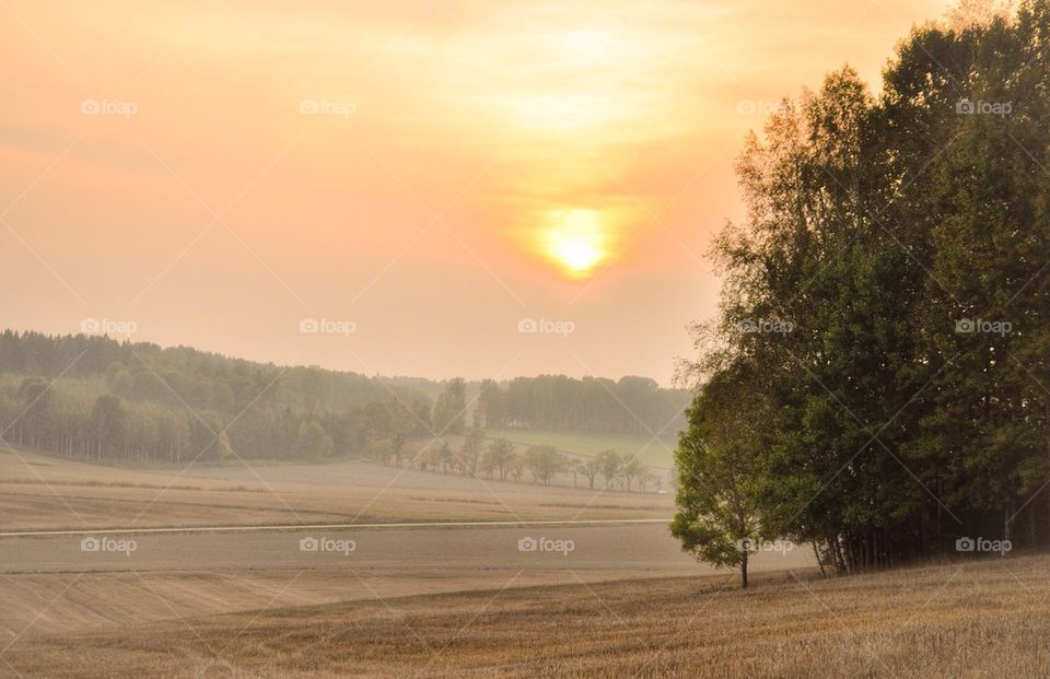 Over view of sunset