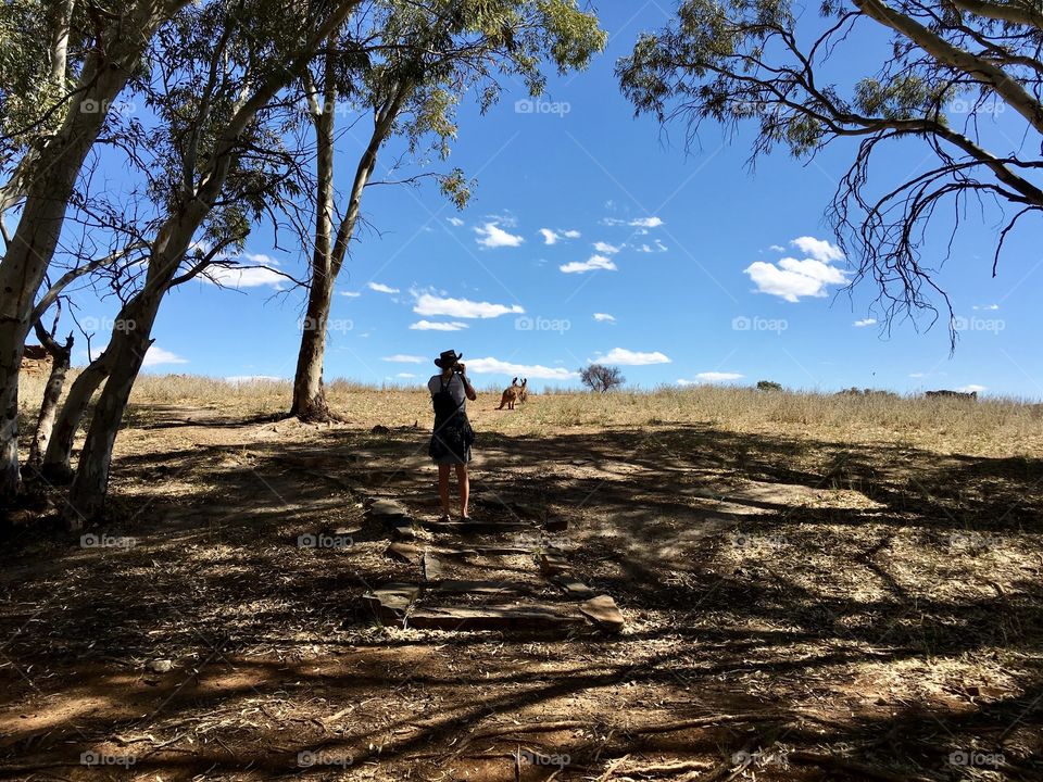 Female photographer in Australian outback photographing kangaroos 