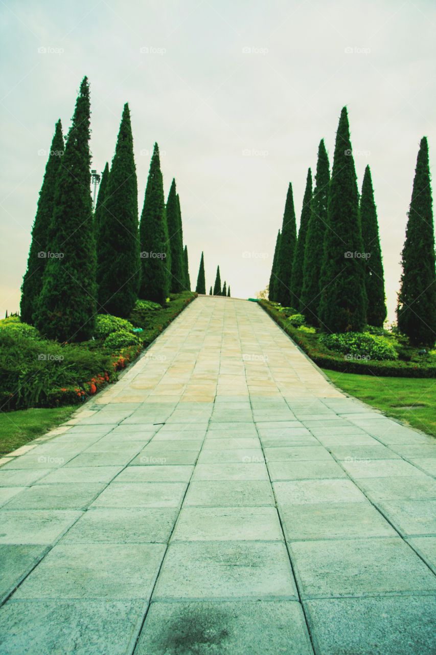 walkway. walkway in garden