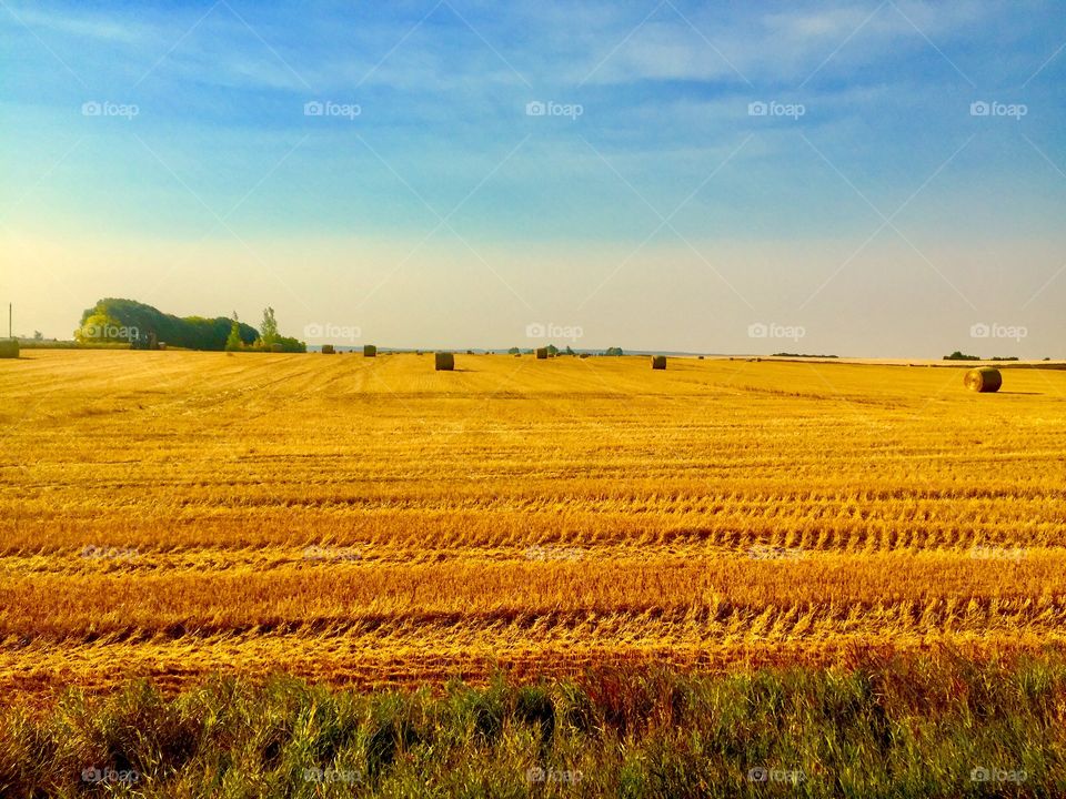Brandon Manitoba prairie 