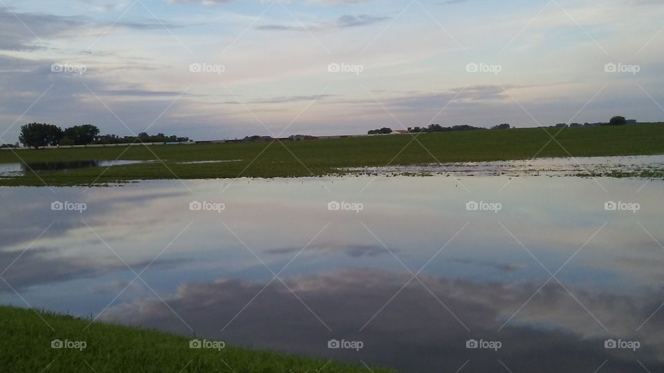 Landscape, Tree, Lake, Water, River