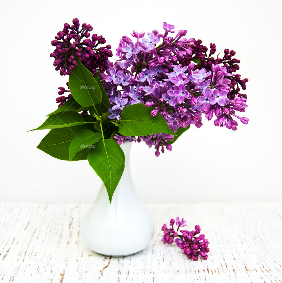 Lilac flowers 