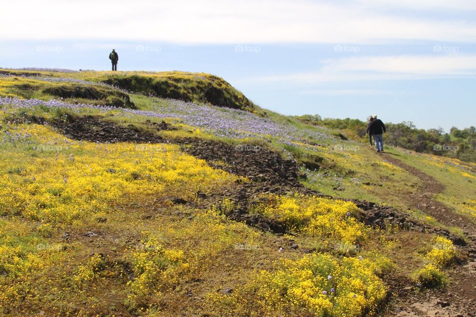 Landscape, Nature, No Person, Sky, Outdoors