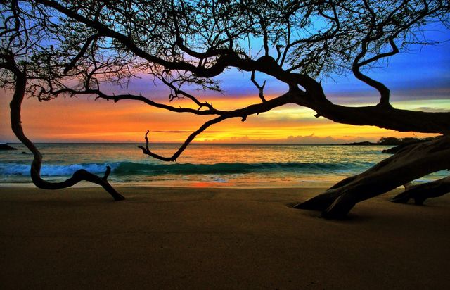 sunset