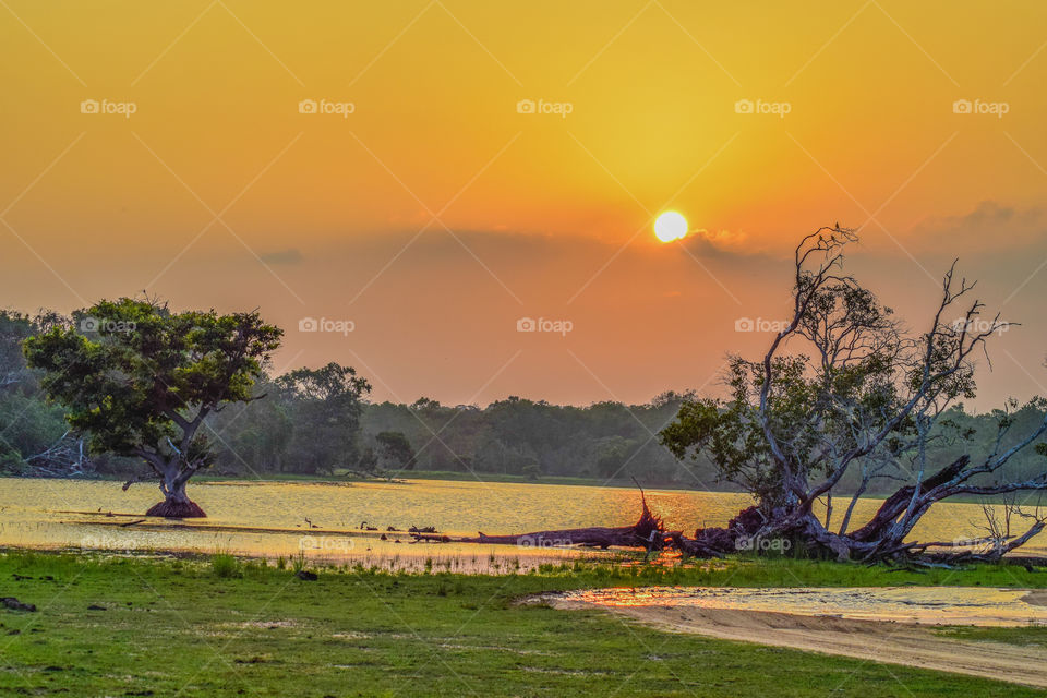 Ceylon Sunset