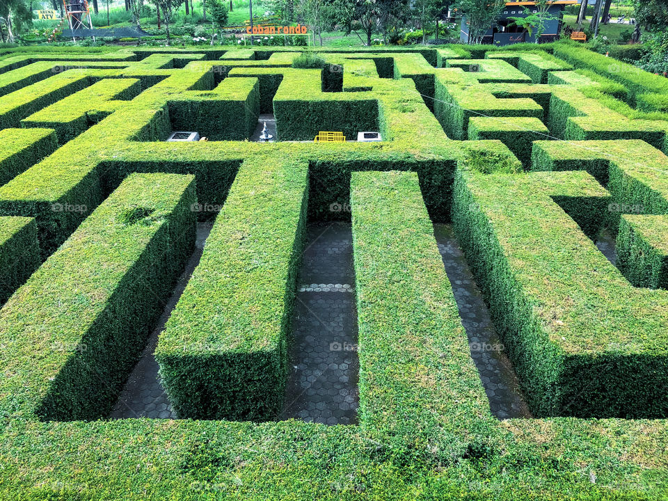 View of the maze from the top of the tower. It's so beautiful.