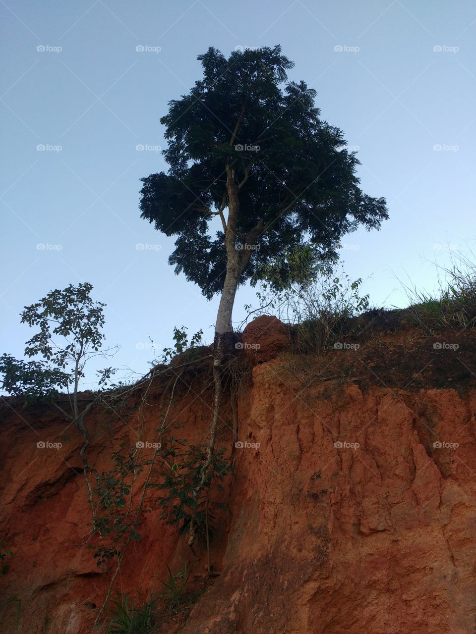 No Person, Tree, Outdoors, Travel, Landscape