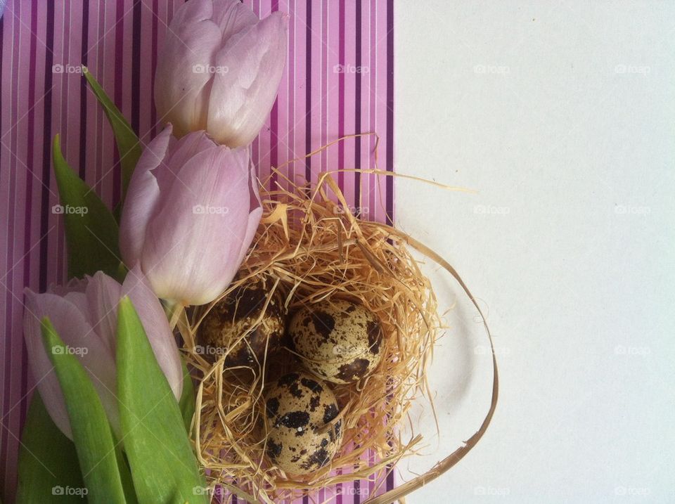 Easter eggs with bouquet tulips